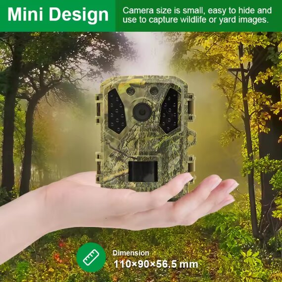 Wachman King dimensions