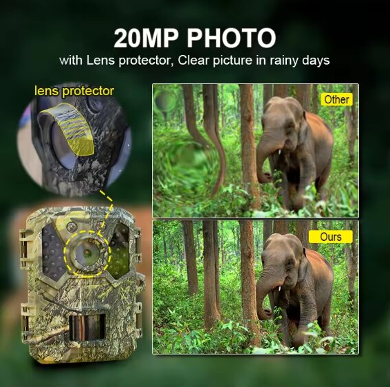 Wachman King features