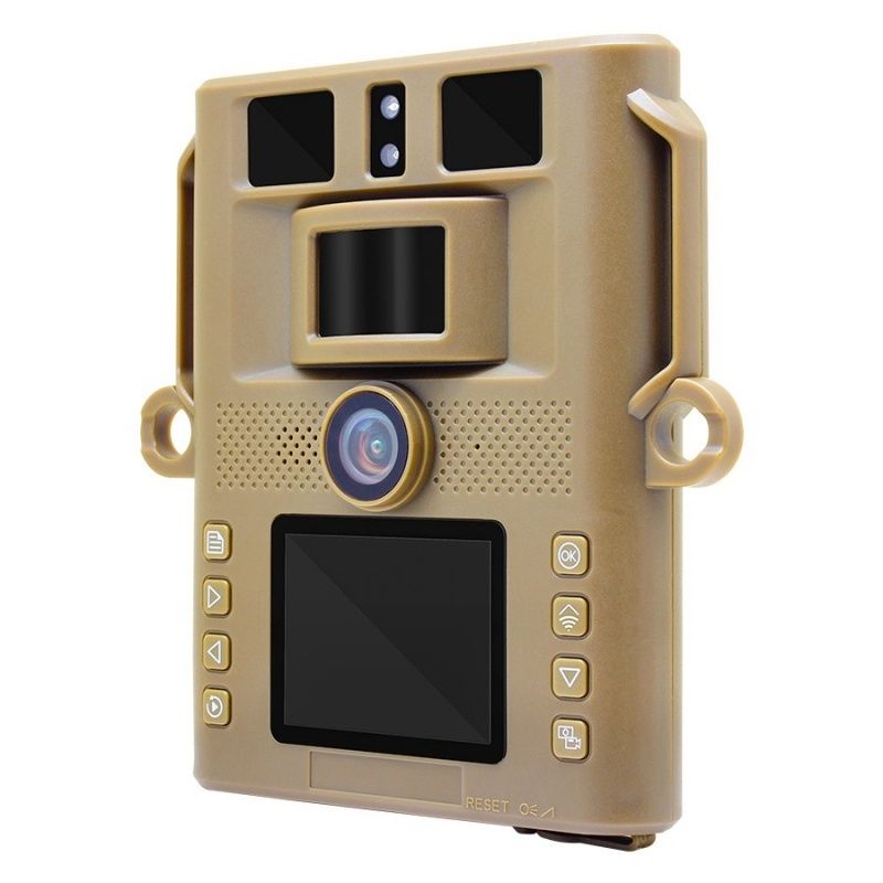 Wachman Slim alternate angle 2