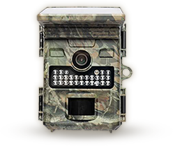 Wachman Saulės Lite Priekis