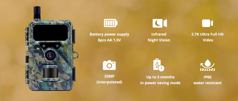 Wachman Discovery4G kamera laukinės gamtos stebėjimui